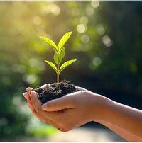 The translation of "Pflanze in Hand Kachel" from German to Swedish is "Växt i handen kakel." 

However, if "Kachel" refers to a specific context or idiomatic expression, please provide more details for a more accurate translation.